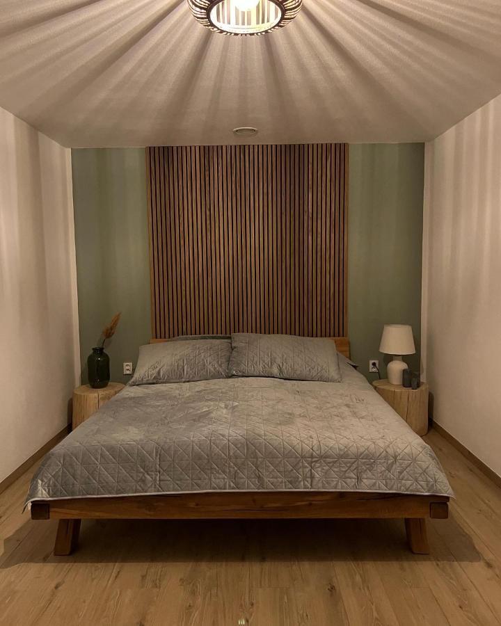 Vila Dvorecna Villa Loučovice Eksteriør bilde