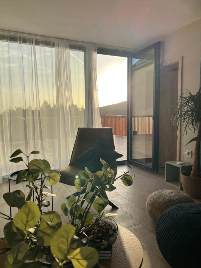 Vila Dvorecna Villa Loučovice Eksteriør bilde