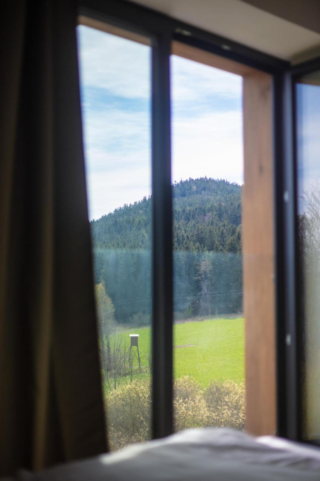 Vila Dvorecna Villa Loučovice Eksteriør bilde