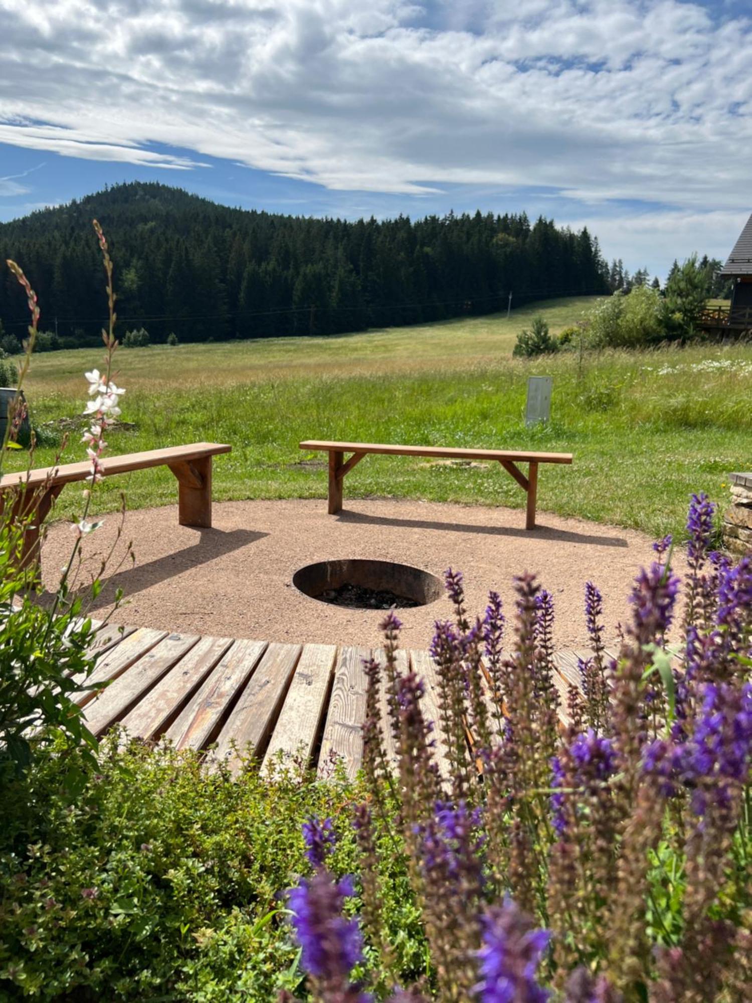 Vila Dvorecna Villa Loučovice Eksteriør bilde