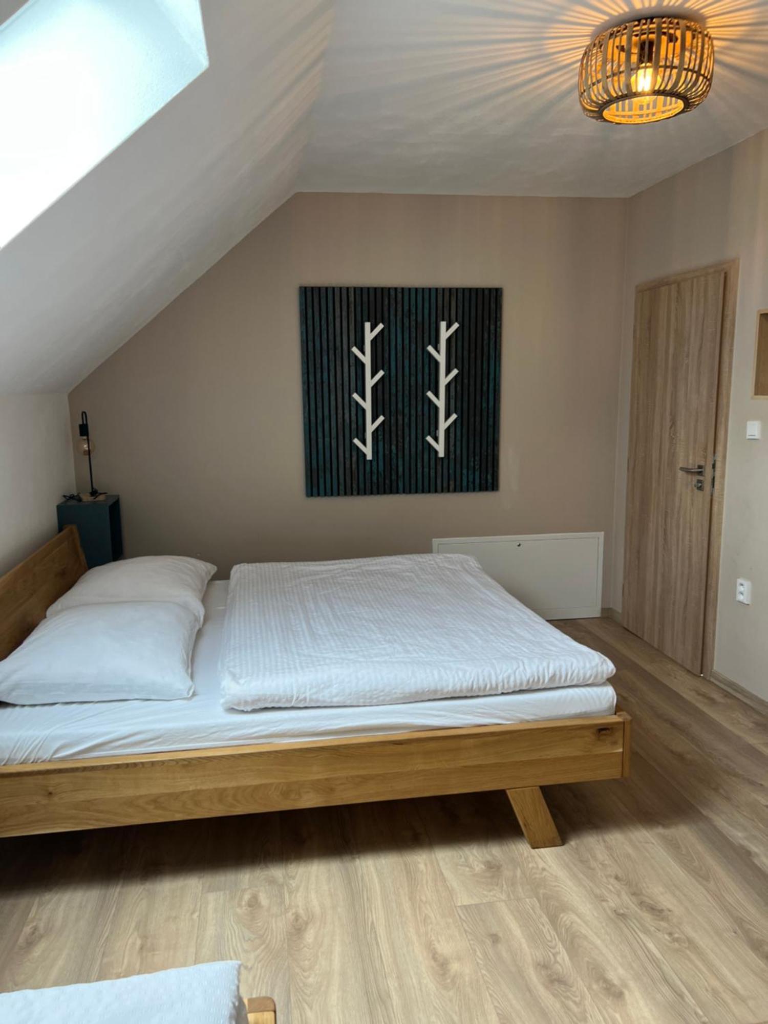 Vila Dvorecna Villa Loučovice Eksteriør bilde