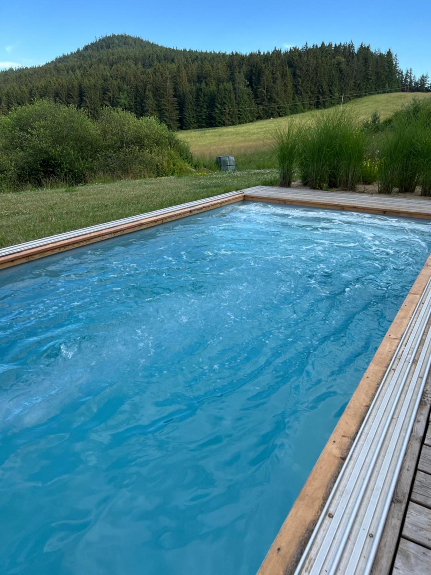 Vila Dvorecna Villa Loučovice Eksteriør bilde